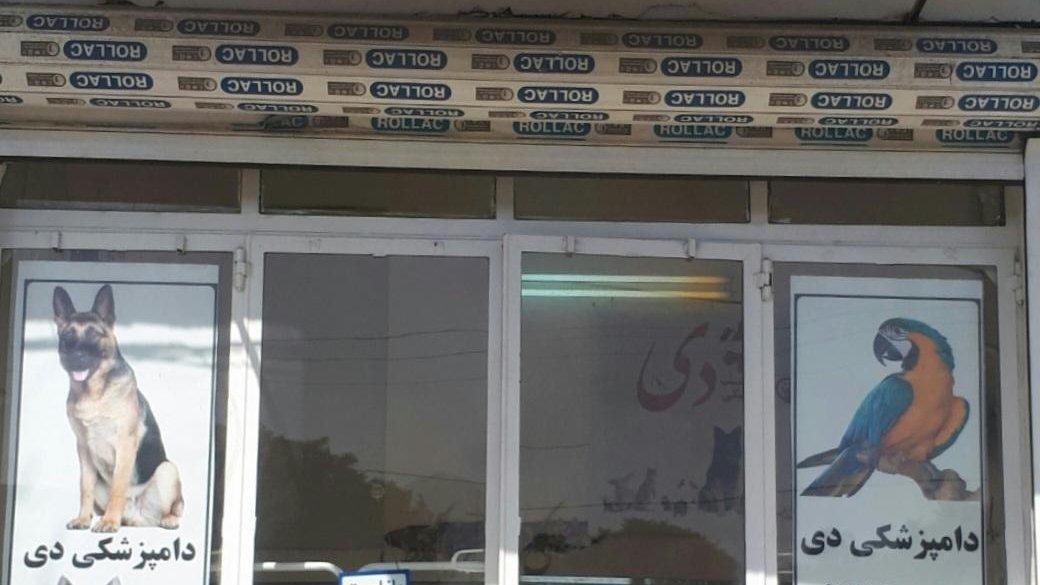 کلینیک دامپزشکی دی — همدان