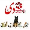 کلینیک دامپزشکی دی